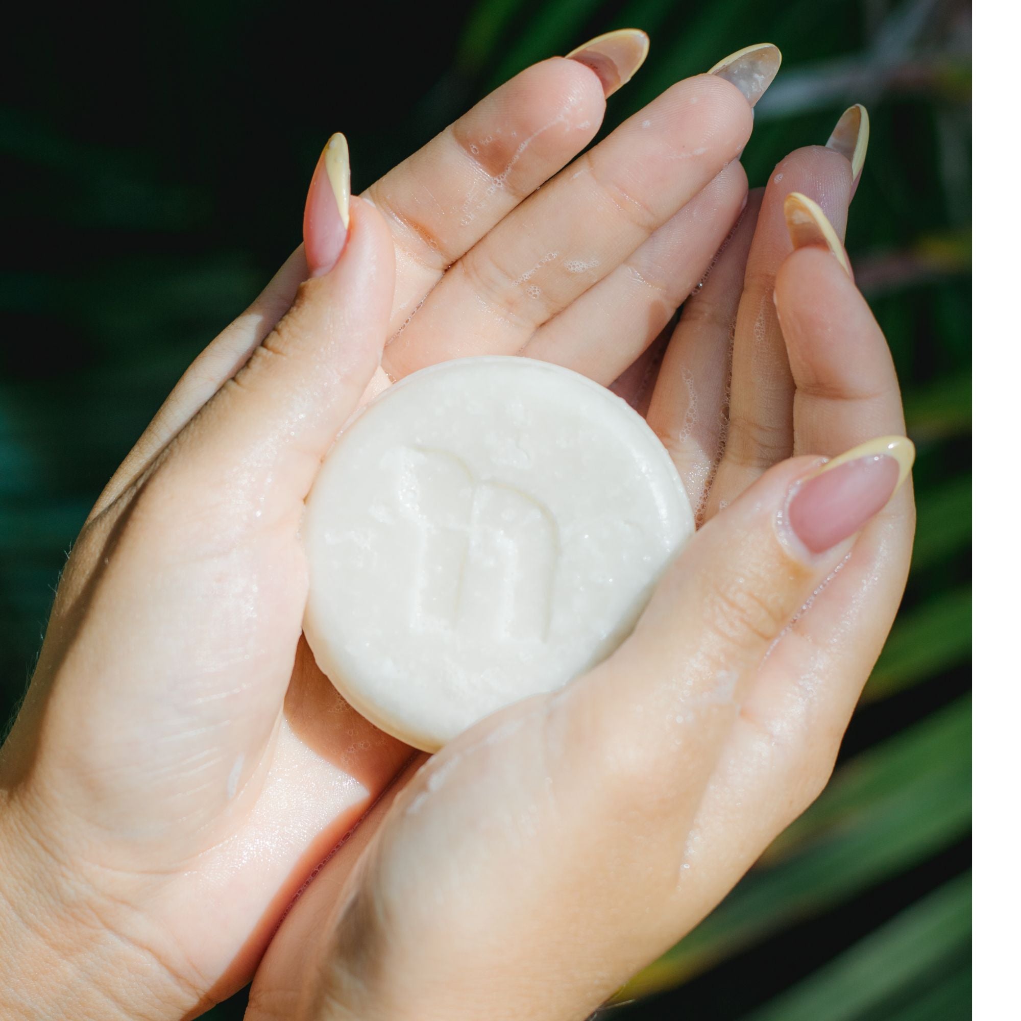 Citrus (Körperseifen)